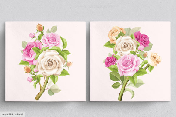 Download Beautiful Roses Hand Drawn Illustrations - Premium Resources