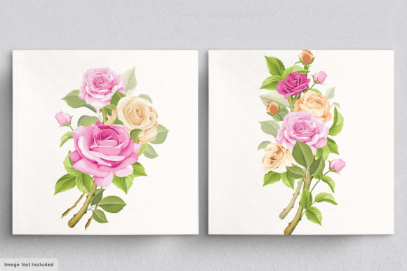 Download Beautiful Roses Hand Drawn Illustrations - Premium Resources