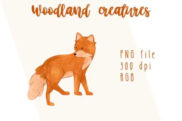Download Woodland Creatures - Woodland creatures Collection