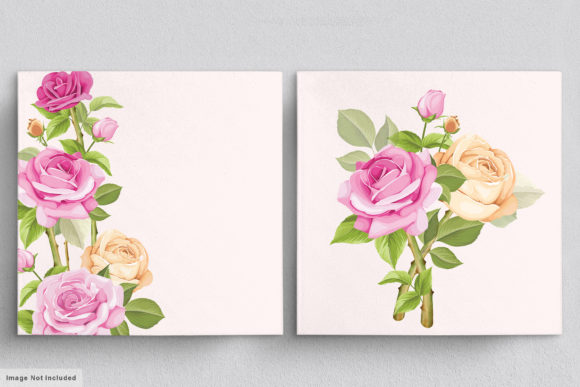 Download Beautiful Roses Hand Drawn Illustrations - Premium Bundle